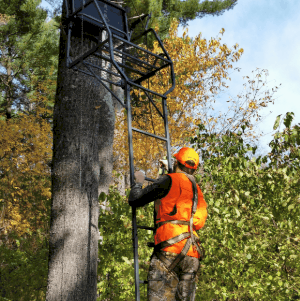 DNR urges treestand hunters to wear harnesses this fall