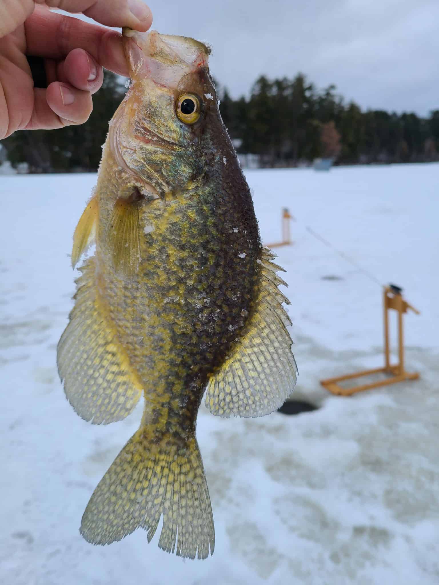 Fishing Report: The bite is slow in 2021