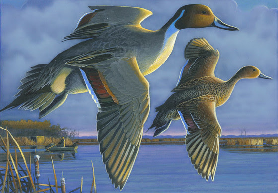 DNR accepting entries for stamp design contests