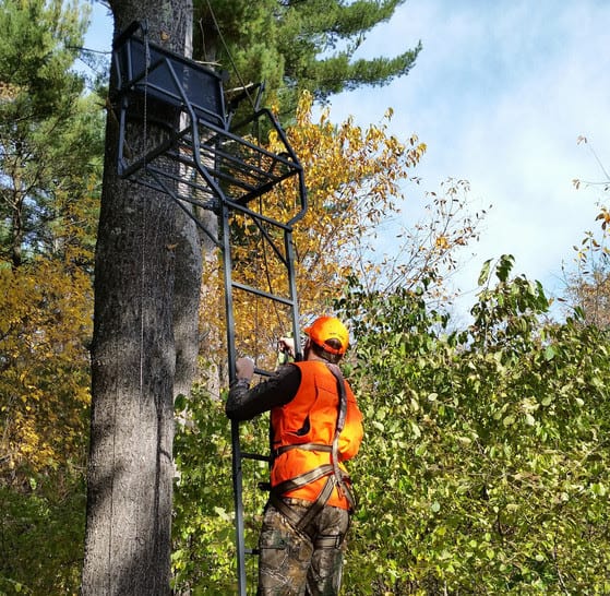 DNR urges hunters to use treestand harnesses this fall