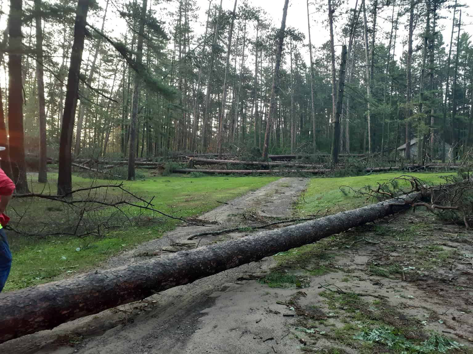 City to apply for DNR storm damage cleanup grant