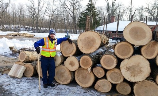 Forest Products Week: Celebrate Wisconsin’s working forests