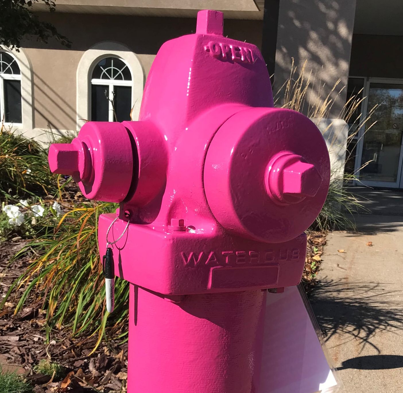 Water Department paints fire hydrant pink for breast cancer awareness