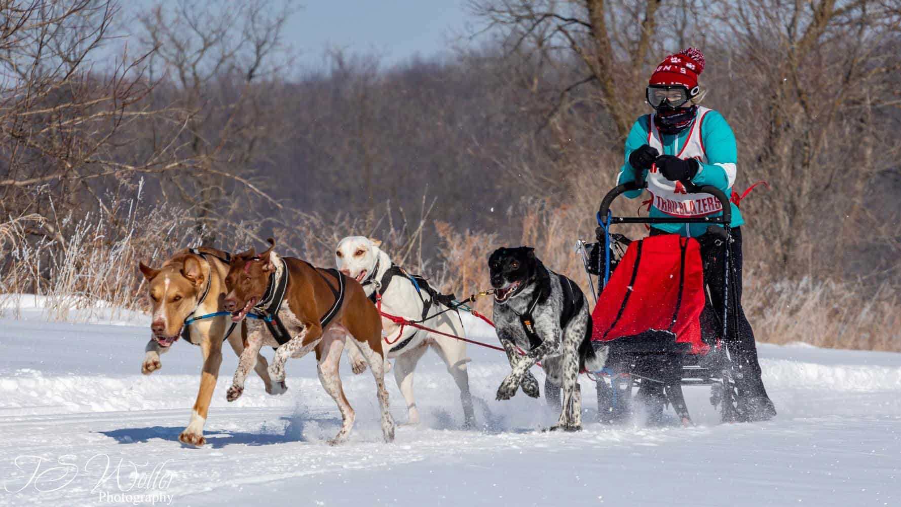 Heal Creek Dog Dash to highlight opportunities at land newly acquired by City of Rhinelander