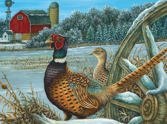 2022 wild turkey, pheasant, waterfowl stamp design contest now open
