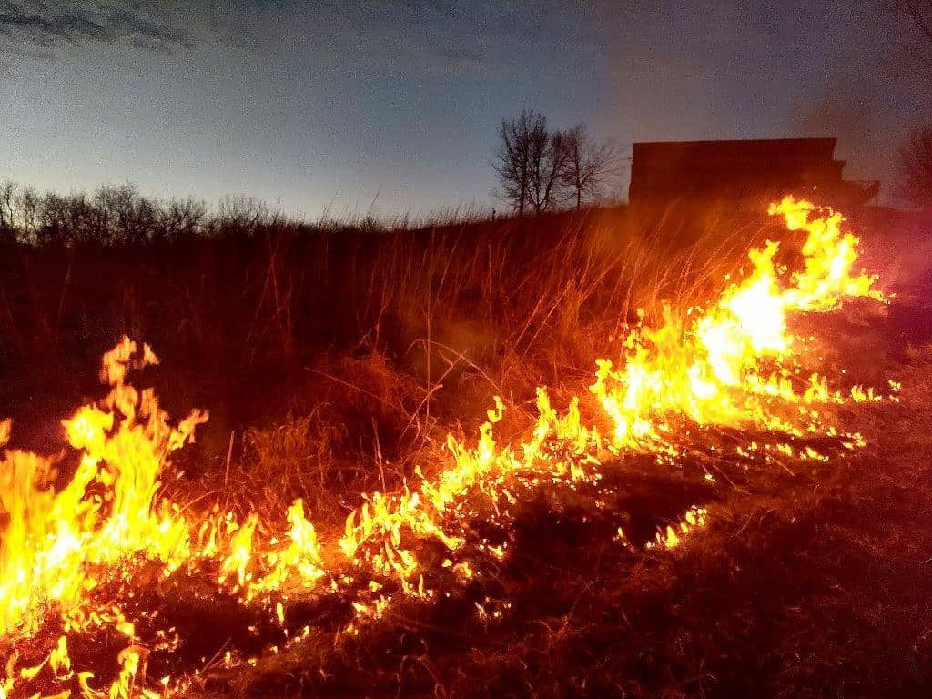 Natural Connections: Prairie Fire
