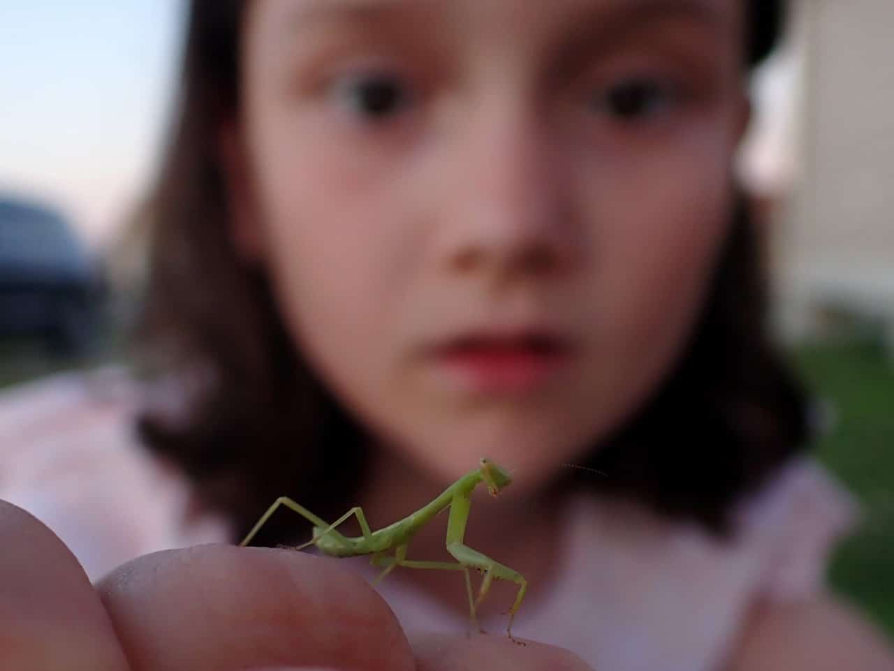 Natural Connections: Kids and Bugs