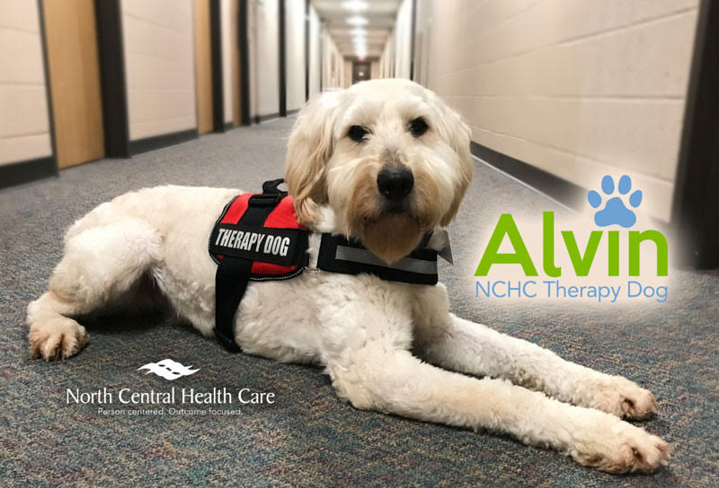 NCHC therapy dog Alvin retires