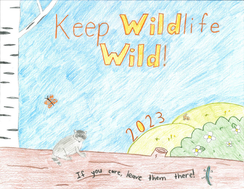 Entries now being accepted for 2024 Keep Wildlife Wild poster contest