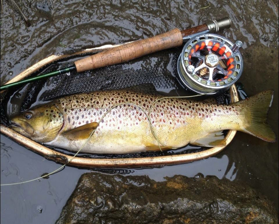 Inland trout early catch and release season opens next weekend