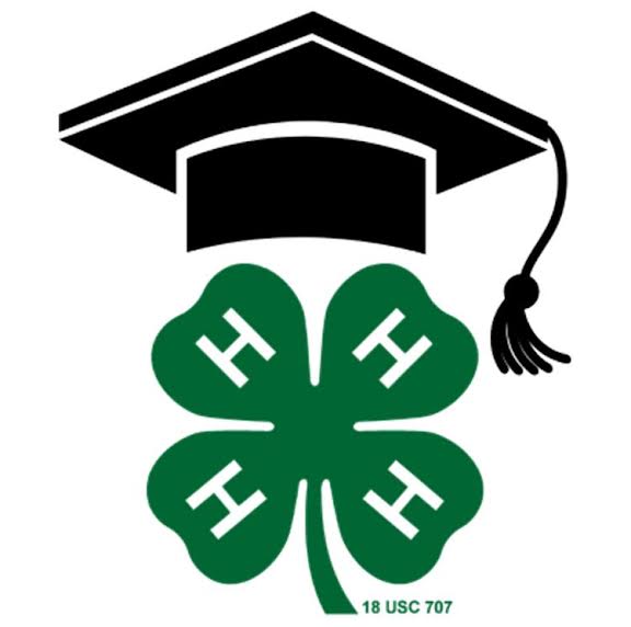 Wisconsin 4-H Foundation accepting scholarship applications