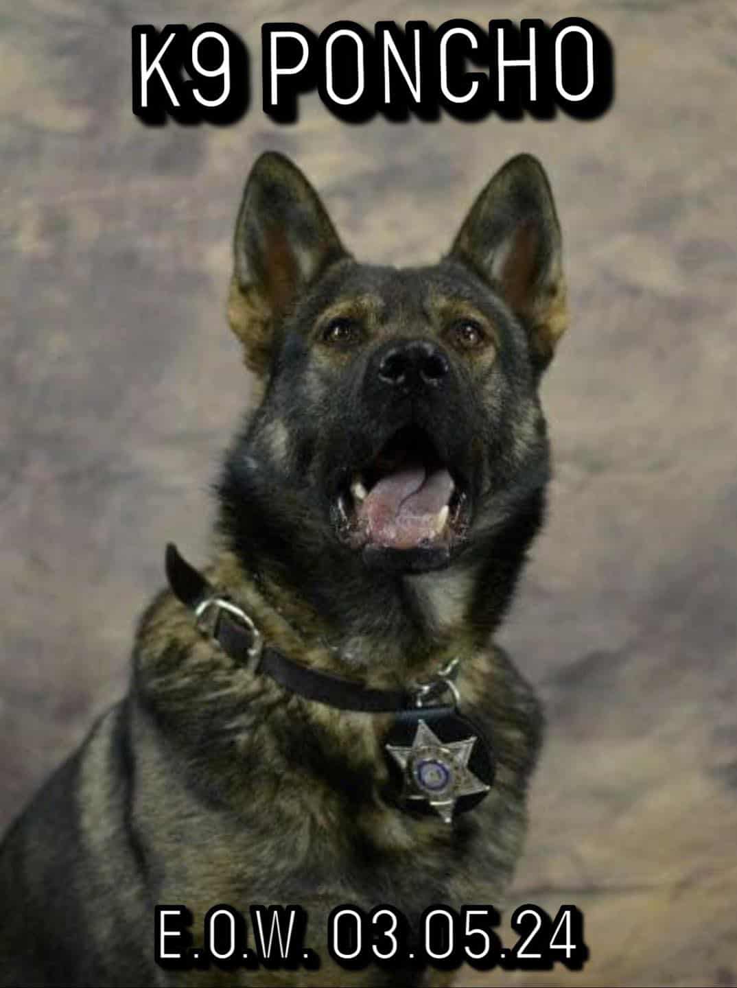 Lincoln County Sheriff’s Office announces passing of K9 Poncho
