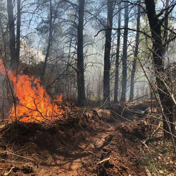 DNR highlights spring wildfire season, reminds public to obtain burn permits